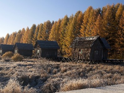 羊小咩下款要多久？资质/资料/合作渠道如何影响到账时间（附出财小神用户实测）