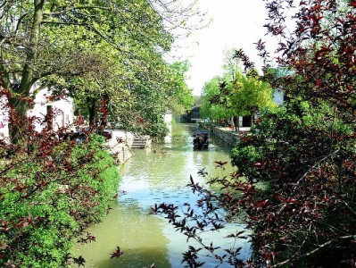 花呗限额别冒险套现！安出掌柜提示合规资金规划更安全