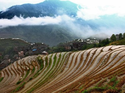 贵阳花呗取现暗藏风控危机 安出掌柜支招合规用卡更安心