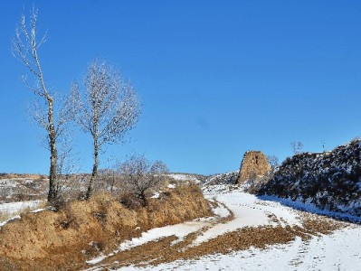 花呗提现手续费怎么省？出财小神揭秘低费率合规新方式