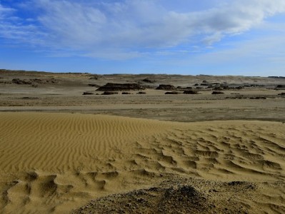 警惕“医保套现”陷阱：非法操作涉违法，“出财小神”类平台需警惕