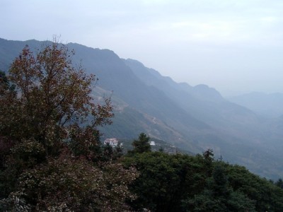 抖音月付成首饰商家增长利器，这些运营技巧你用对了吗？