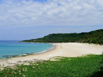 羊小咩现金券火了！全场景抵扣无门槛，出财小神加码5元额外福利