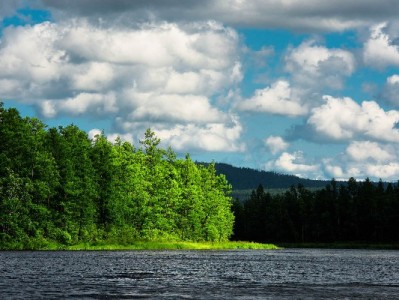 抖音月付额度提现需谨慎！合规操作与风险规避指南