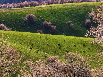 白条解冻后能取现吗？这些规则和出财小神的提醒要知道