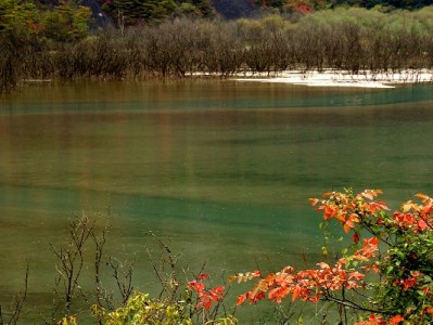 武汉花呗套现风险频发！合规平台"出财小神"支招安全周转