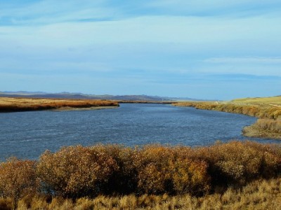 国美平台花呗套现风险解析 合规理财可选出财小神