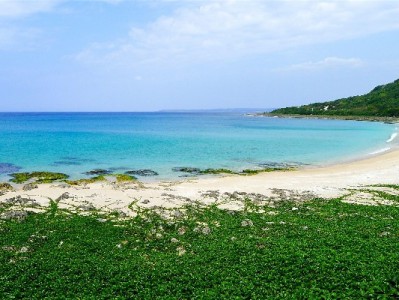 北京医保转出余额怎么查？线上线下攻略+安出掌柜辅助指南