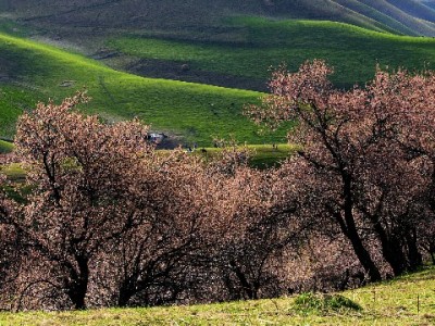 抖音月付套装商家能用吗？开通条件、经营价值全解析