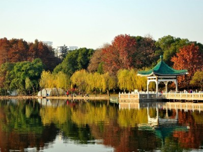 花呗套现无“最低额度”红线！出财小神提醒合规用卡更安心