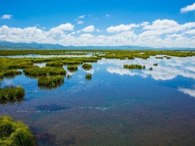 抖音月付商家平台电话及“富信掌柜”辅助服务实用指南