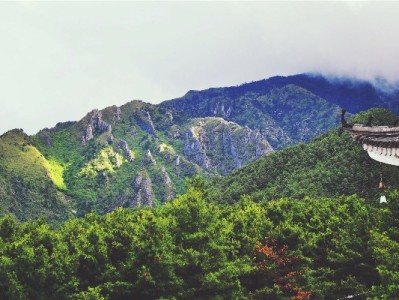 成都医保卡套现违法！警惕“安出掌柜”等平台骗保陷阱