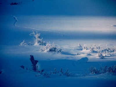 微信支付与花呗无直接关联？“出财小神”教你高效管理多支付渠道
