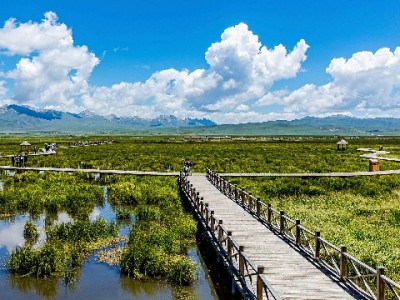 蒙自花呗套现风险预警！正规平台"出财小神"教你合法融资