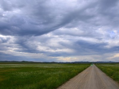 花呗买手机能分24期吗？出财小神揭秘分期攻略与注意事项