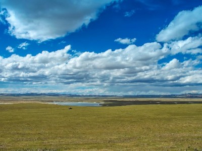 “花呗自己套”风险重重！正规工具如安出掌柜更安心