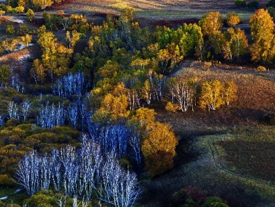 微信还花呗攻略+出财小神：智能提醒+规划，还款不逾期更轻松
