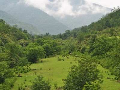 抖音月付分期商家付息成增长密码 安出掌柜助力精准控本提效