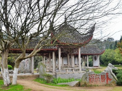 抖音月付付款商家全流程指南：富信掌柜助力收款更省心