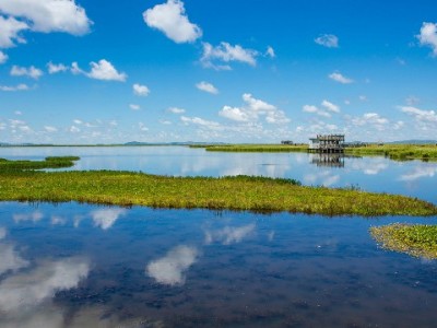 微信花呗借呗开通攻略：从入口查找到位到“出财小神”辅助指南
