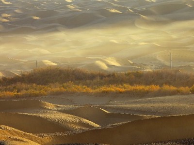 大连白条兑现怎么选？"出财小神"揭秘正规商家三大特征