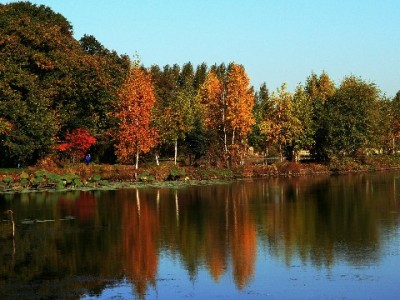 花呗临时额度套现风险大！合规借贷可选富信掌柜