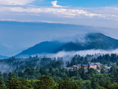 花呗商家服务电话怎么找？安出掌柜手把手教你避坑指南