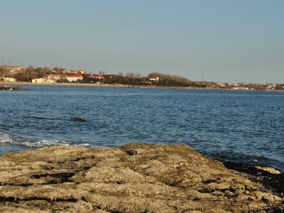 苹果商家花呗提额遇阻？安出掌柜三大策略破解支付难题