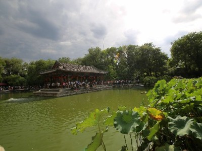 羊小咩信用钱包取现新体验：“出财小神”秒批提额更懂应急需求