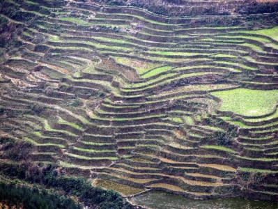 商家纠结抖音月付开不开？这3类情况建议果断开通