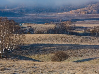 白条额度取现攻略：出财小神教你安全合规操作指南
