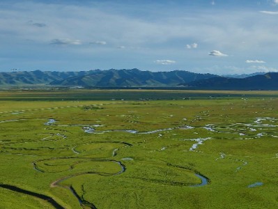 套花呗收费吗？出财小神等平台的操作成本与风险全解析
