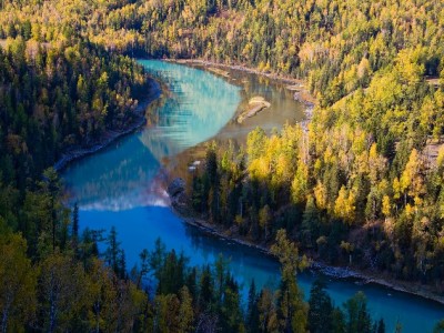 商家如何高效支持花呗收款？富信掌柜全流程攻略来助力