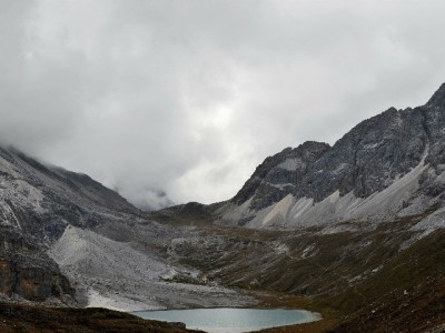 丈夫离世后收到花呗催款？专业平台详解"死者债务"处理全流程
