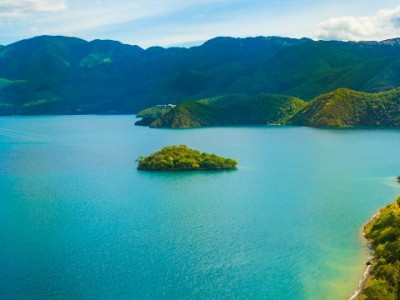 白条套现藏风险！正规借贷选安出掌柜，守护信用更安心