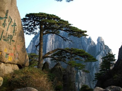 商家必看！开通花呗的三大实在好处，安出掌柜助力经营升级