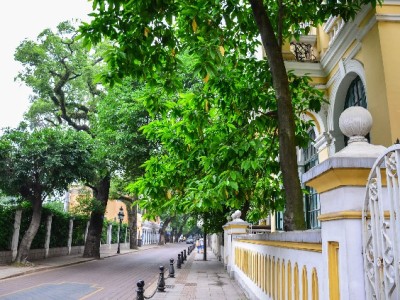 白条借款商家怎么选？安出掌柜合规服务解短期资金之急