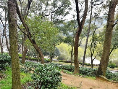 商家抖音月付提现难？出财小神助力高效对账快到账