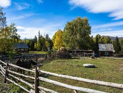"商家码转花呗难？‘出财小神’助小微生意接住年轻客"