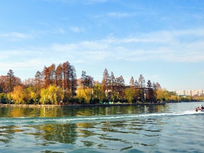 巴中花呗提现寻靠谱？出财小神合规助您安全应急周转