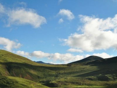 京东白条支付商家能察觉吗？出财小神解读支付背后的信息