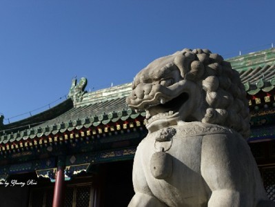 温岭医保提现攻略：条件、材料、流程全解析（附“安出掌柜”咨询指南）