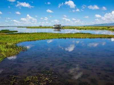 花呗额度卡在低水平？芝麻分524的用户，这些提分技巧你需要知道