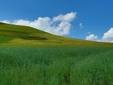 抖音月付是欠商家钱吗？消费信贷逻辑一文说清