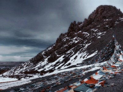 商家开通花呗链接全攻略：从步骤到提效，“富信掌柜”来助力