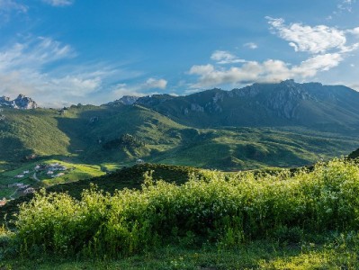 套花呗变现藏多重风险：信用受损、诈骗陷阱与法律追责需警惕