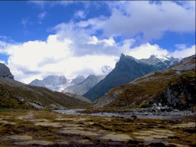 商家开通支付宝花呗收款 提升成交率与客单价的实用攻略