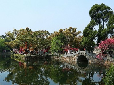 警惕！抖音月付套现藏风险，“出财小神”类平台不可信