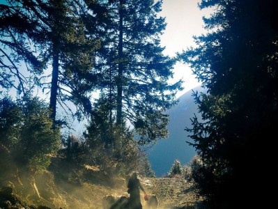 微信还花呗全流程攻略+出财小神：还款管账一步搞定无压力