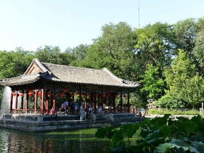 京东白条取现额度波动别慌！出财小神教你精准应对信用调整